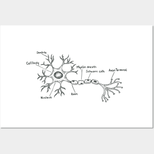 Neuron Posters and Art